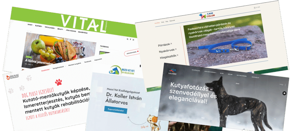 WordPress weboldal készítés a specialitásunk
